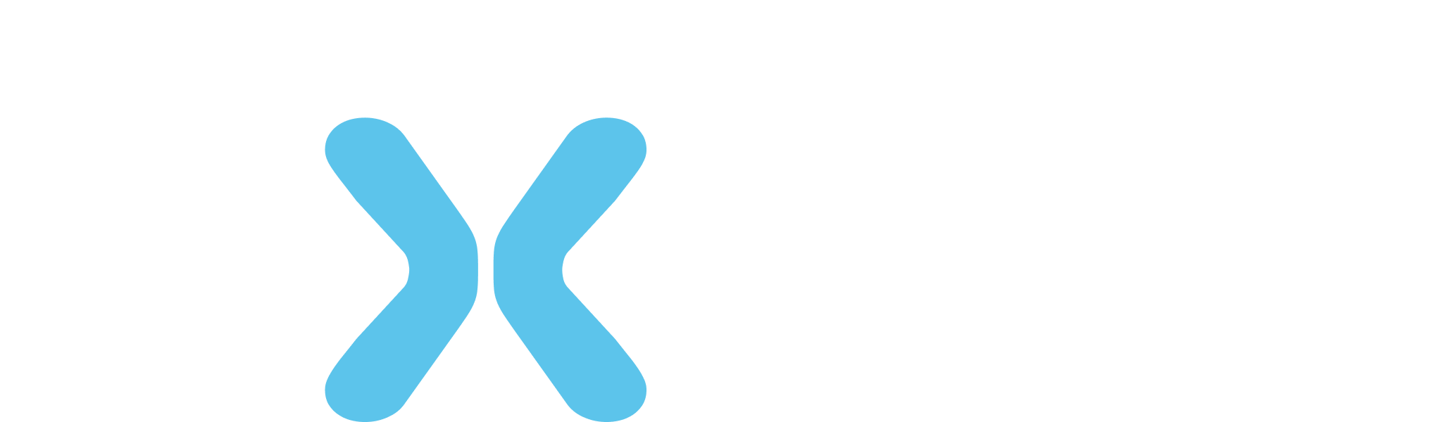 logo exsis